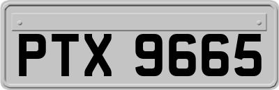 PTX9665