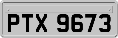 PTX9673