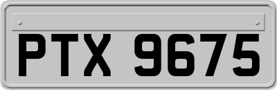 PTX9675