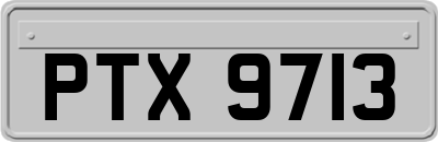 PTX9713