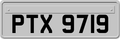 PTX9719