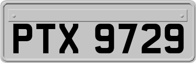 PTX9729