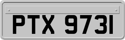 PTX9731