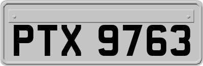 PTX9763