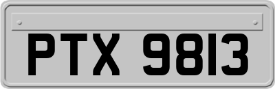 PTX9813