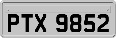 PTX9852