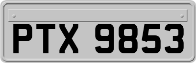 PTX9853