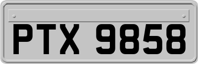 PTX9858