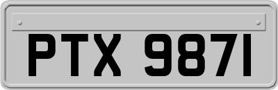 PTX9871