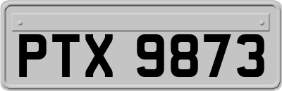 PTX9873