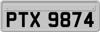 PTX9874