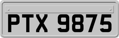 PTX9875