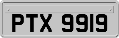 PTX9919