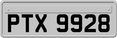 PTX9928