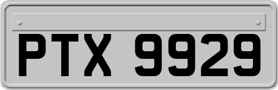 PTX9929