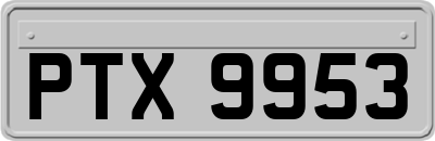 PTX9953