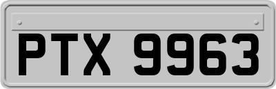 PTX9963