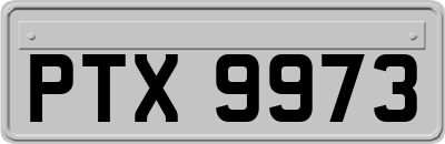 PTX9973