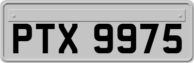 PTX9975