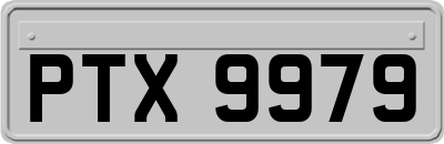 PTX9979