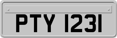 PTY1231