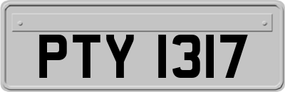 PTY1317