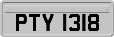 PTY1318