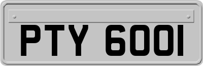 PTY6001