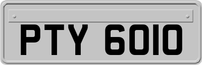 PTY6010