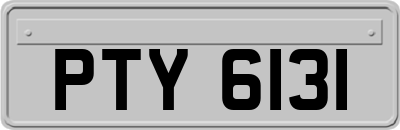 PTY6131