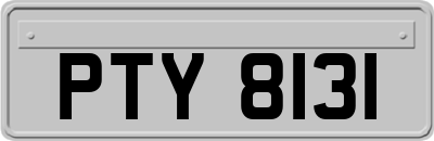 PTY8131