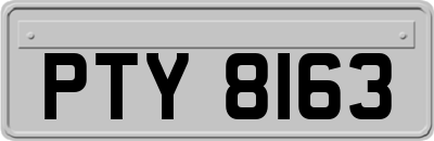 PTY8163