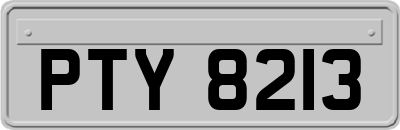 PTY8213