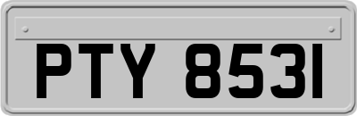 PTY8531