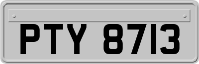 PTY8713