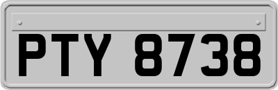 PTY8738