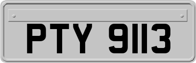 PTY9113