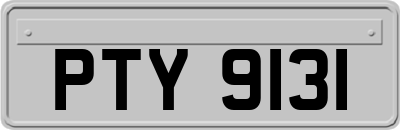PTY9131