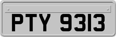 PTY9313