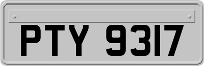 PTY9317