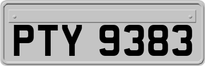 PTY9383