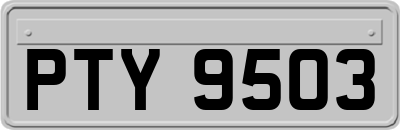 PTY9503