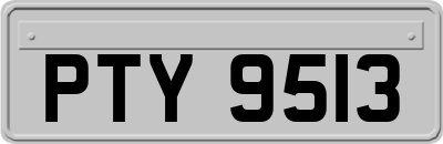 PTY9513