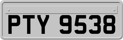 PTY9538