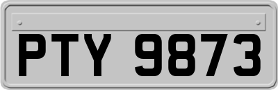 PTY9873