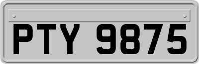 PTY9875