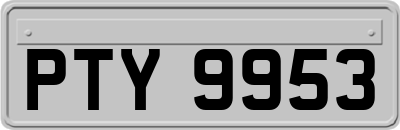 PTY9953
