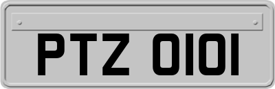 PTZ0101