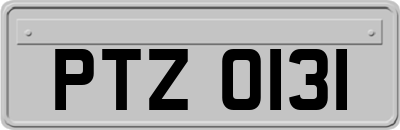 PTZ0131