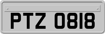 PTZ0818